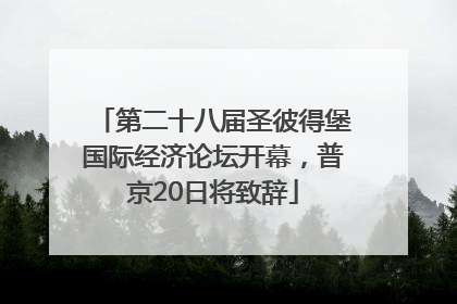 第二十八届圣彼得堡国际经济论坛开幕，普京20日将致辞