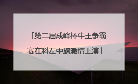 第二届成峰杯牛王争霸赛在科左中旗激情上演