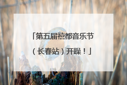 第五届禧都音乐节（长春站）开躁！
