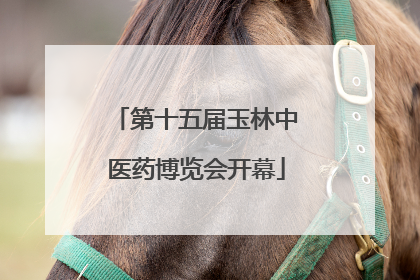 第十五届玉林中医药博览会开幕