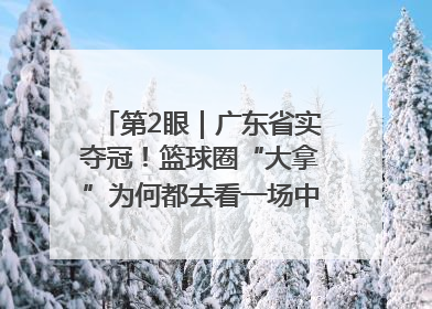 第2眼｜广东省实夺冠！篮球圈“大拿”为何都去看一场中学生比赛？