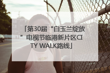 第30届“白玉兰绽放”电视节临港新片区CITY WALK路线