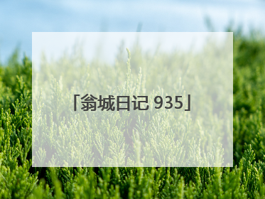 翁城日记 935