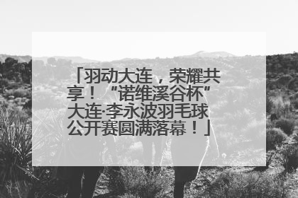 羽动大连，荣耀共享！“诺维溪谷杯”大连·李永波羽毛球公开赛圆满落幕！