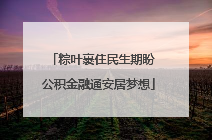 粽叶裹住民生期盼 公积金融通安居梦想