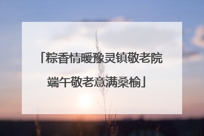 粽香情暖豫灵镇敬老院 端午敬老意满桑榆