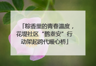 粽香里的青春温度，花堤社区“鹤耋安”行动架起跨代暖心桥