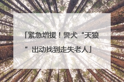 紧急增援！警犬“天狼”出动找到走失老人