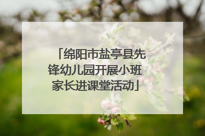 绵阳市盐亭县先锋幼儿园开展小班家长进课堂活动