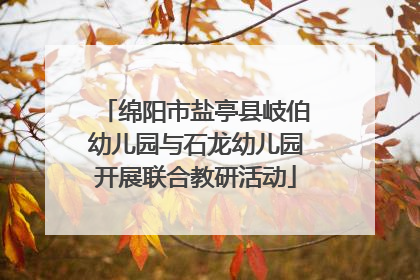 绵阳市盐亭县岐伯幼儿园与石龙幼儿园开展联合教研活动