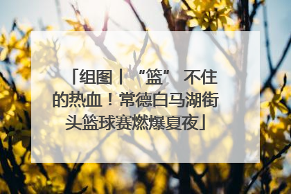 组图丨“篮” 不住的热血！常德白马湖街头篮球赛燃爆夏夜