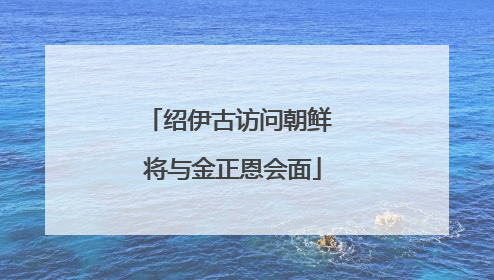 绍伊古访问朝鲜 将与金正恩会面