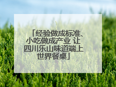 经验做成标准、小吃做成产业 让四川乐山味道端上世界餐桌
