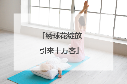 绣球花绽放 引来十万客