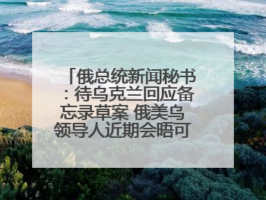 俄总统新闻秘书：待乌克兰回应备忘录草案 俄美乌领导人近期会晤可能性小