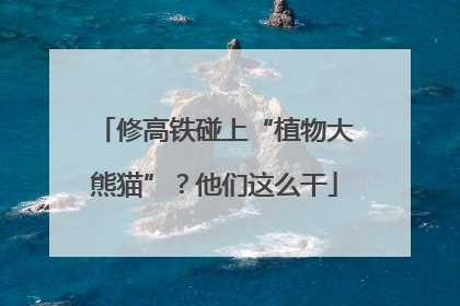 修高铁碰上“植物大熊猫”？他们这么干