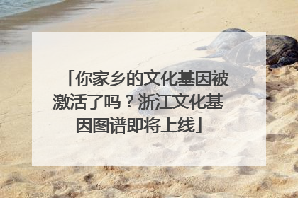 你家乡的文化基因被激活了吗？浙江文化基因图谱即将上线