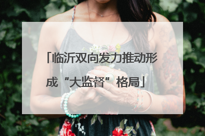 临沂双向发力推动形成“大监督”格局