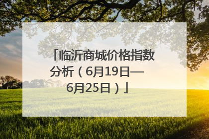 临沂商城价格指数分析（6月19日—6月25日）