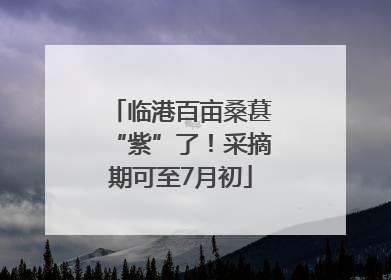 临港百亩桑葚“紫”了！采摘期可至7月初