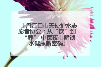 丹江口市天使护水志愿者协会：从“饮”到“养” 中医夜市解锁水健康新密码