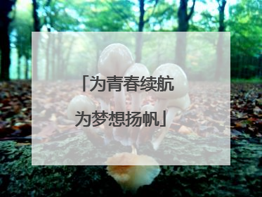 为青春续航 为梦想扬帆