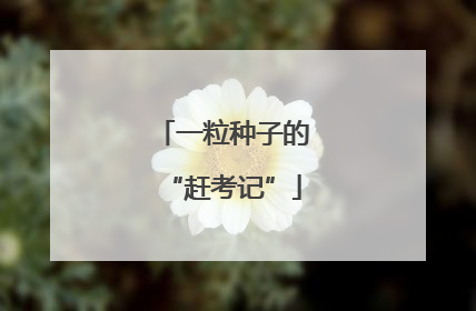 一粒种子的“赶考记”