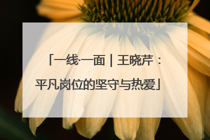 一线·一面｜王晓芹：平凡岗位的坚守与热爱