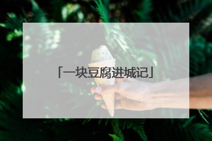 一块豆腐进城记