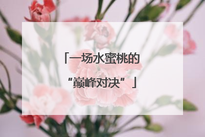 一场水蜜桃的“巅峰对决”