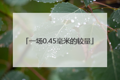 一场0.45毫米的较量