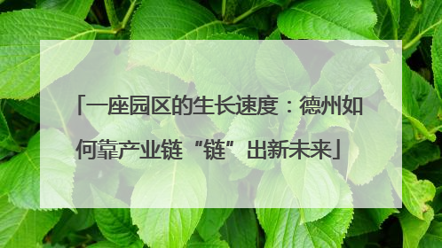 一座园区的生长速度：德州如何靠产业链“链”出新未来
