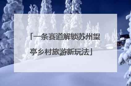 一条赛道解锁苏州望亭乡村旅游新玩法