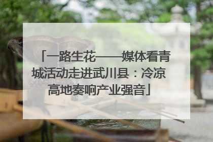 一路生花——媒体看青城活动走进武川县：冷凉高地奏响产业强音