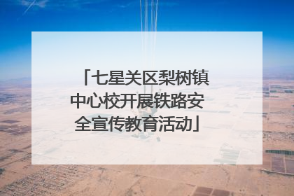 七星关区梨树镇中心校开展铁路安全宣传教育活动