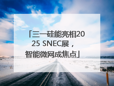 三一硅能亮相2025 SNEC展，智能微网成焦点