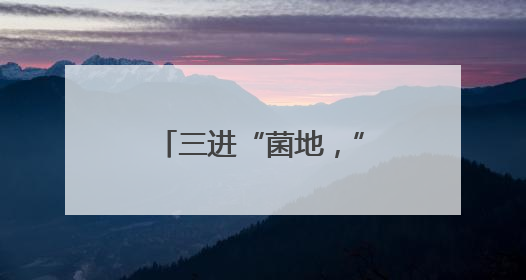 三进“菌地，”黑木耳法庭“呵护乡村梦想”