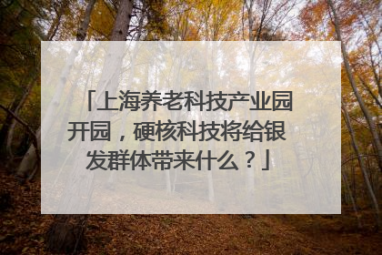 上海养老科技产业园开园，硬核科技将给银发群体带来什么？