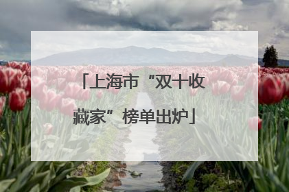 上海市“双十收藏家”榜单出炉