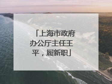 上海市政府办公厅主任王平，履新职