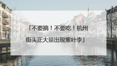 不要摘！不要吃！杭州街头正大量出现紫叶李