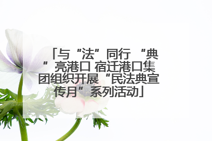 与“法”同行 “典”亮港口 宿迁港口集团组织开展“民法典宣传月”系列活动