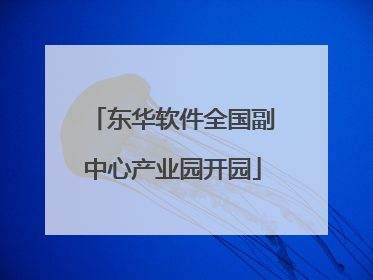 东华软件全国副中心产业园开园