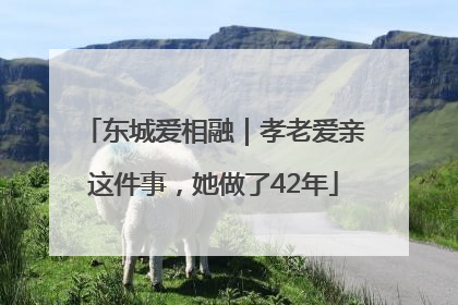东城爱相融｜孝老爱亲这件事，她做了42年