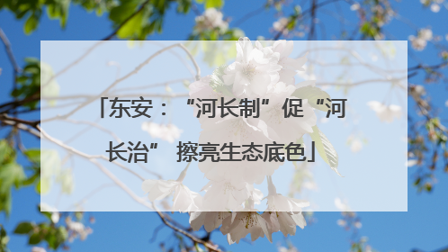 东安：“河长制”促“河长治” 擦亮生态底色