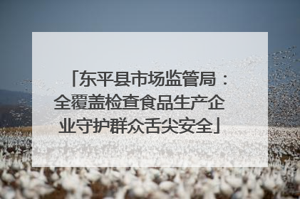 东平县市场监管局：全覆盖检查食品生产企业守护群众舌尖安全
