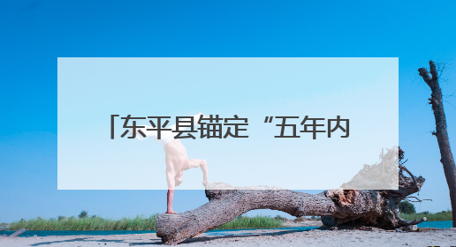 东平县锚定“五年内GDP和税收收入翻番”目标，2024年同比增长5.8%