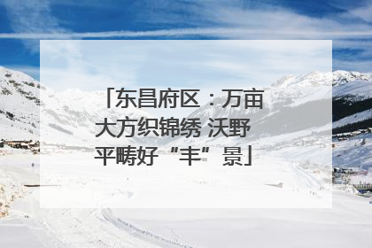 东昌府区：万亩大方织锦绣 沃野平畴好“丰”景