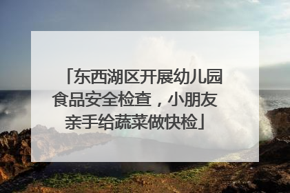 东西湖区开展幼儿园食品安全检查，小朋友亲手给蔬菜做快检