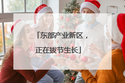 东部产业新区，正在拔节生长